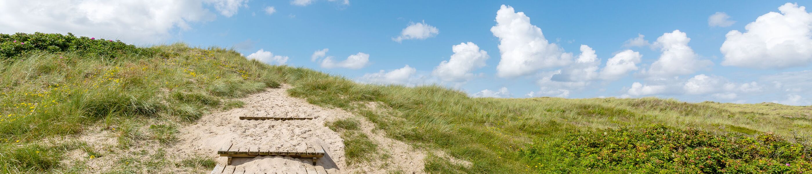 Dünengebiet auf Sylt