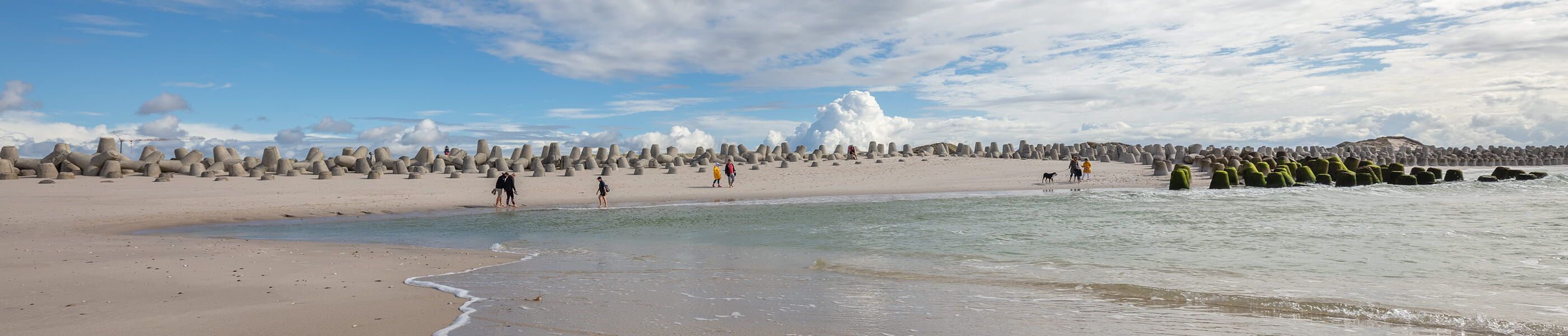 Strand mit Menschen, Hunden und Wellenbrechern