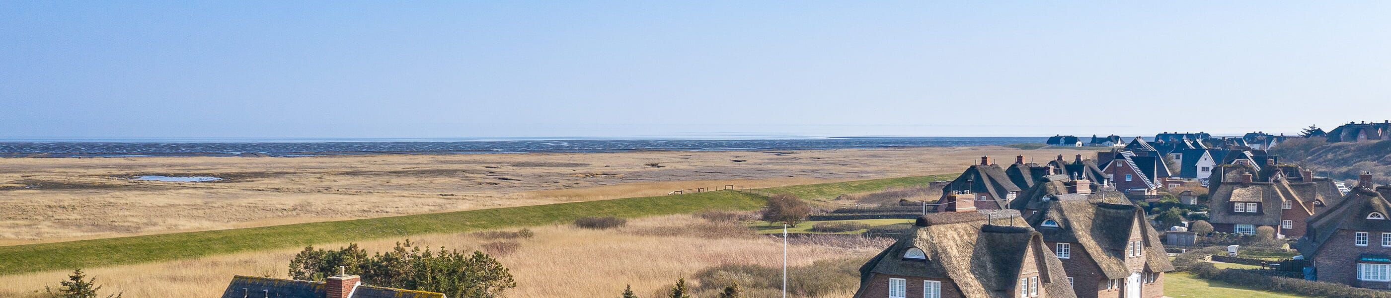 Küstenlandschaft mit Reetdachhäusern, Wiesen und Blick auf die Nordsee
