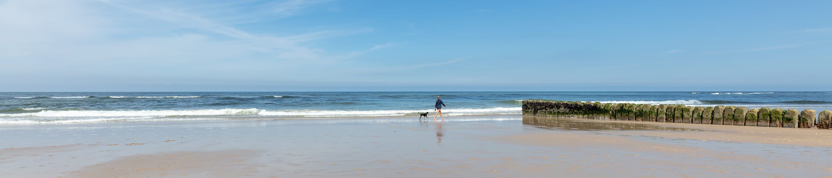 Hund und Mensch am weiten Nordseestrand