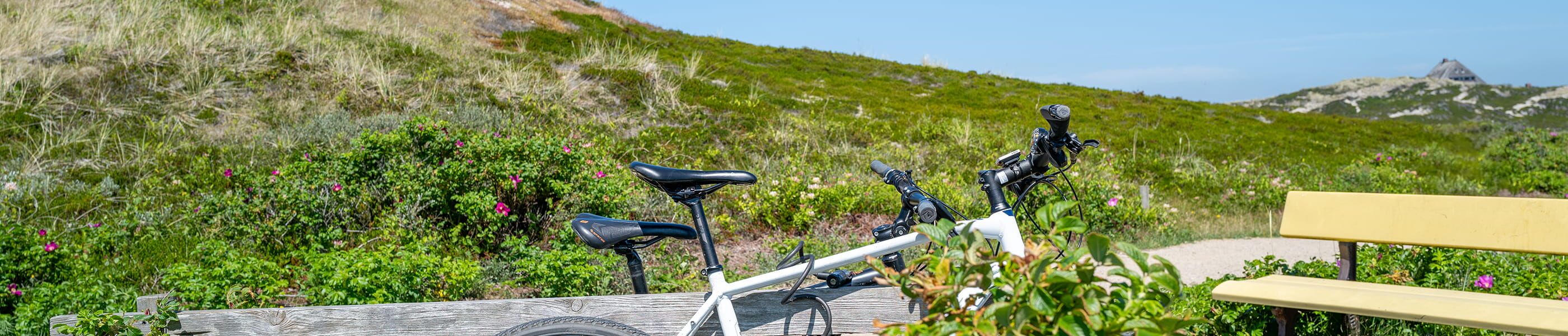 Zwei Fahrräder auf Sylt neben Dünenlandschaft und Weg mit Sitzbank