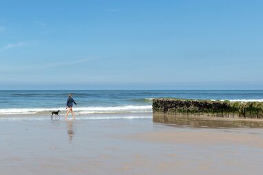 Hund am Strand von Sylt – Hundefreundliche Ferienwohnungen für Urlaub mit Vierbeiner